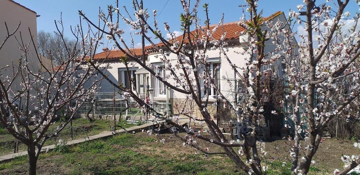 La Maison Du Bonheur Saint-Laurent-de-la-Salanque Ngoại thất bức ảnh